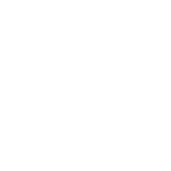 Grüner Hintergrund, der die Kernwerte von Lotus Vita – Natur, Gesundheit und Umweltbewusstsein – symbolisiert.